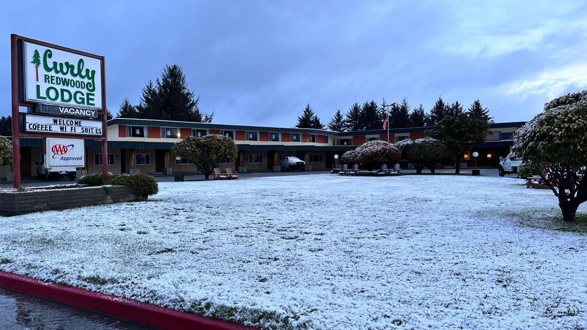 Curly Redwood Lodge Crescent City Esterno foto